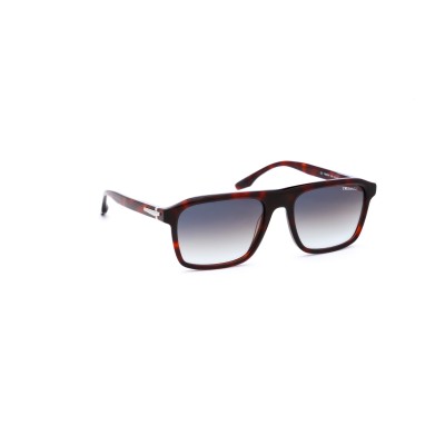TSM9079 G21 Sole Trussardi | Ottica Angelone