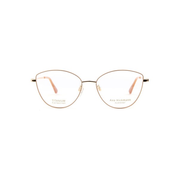 Occhiali da Vista Ana Hickmann AH1545T 01C rotonda acciaio inox donna
