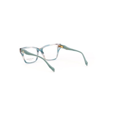 AH6576G E03 Vista Ana Hickmann | Ottica Angelone