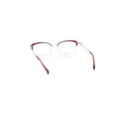 AH1574 E01 Vista Ana Hickmann | Ottica Angelone