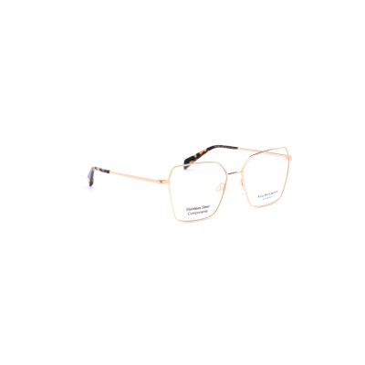 AH1580 04A Vista Ana Hickmann | Ottica Angelone