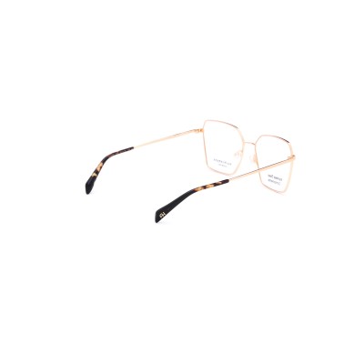 AH1580 04A Vista Ana Hickmann | Ottica Angelone