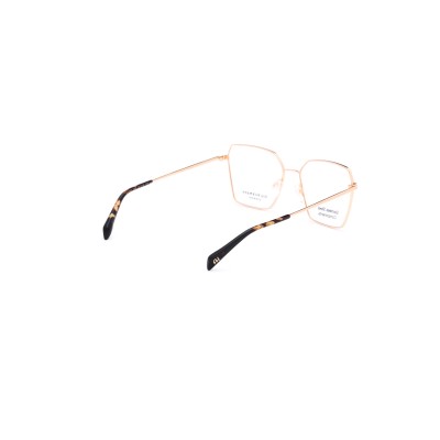 AH1580 04A Vista Ana Hickmann | Ottica Angelone