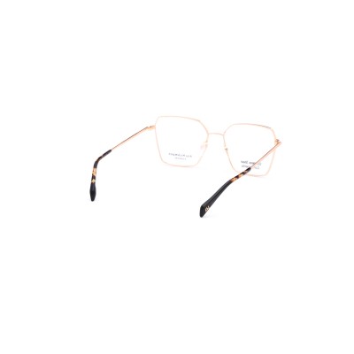 AH1580 04A Vista Ana Hickmann | Ottica Angelone