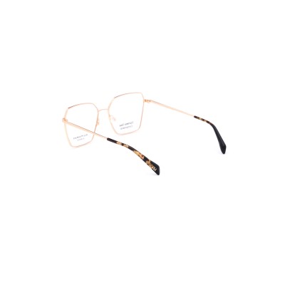 AH1580 04A Vista Ana Hickmann | Ottica Angelone