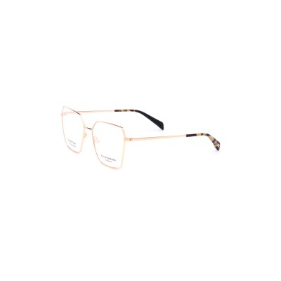 AH1580 04A Vista Ana Hickmann | Ottica Angelone