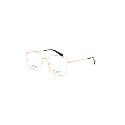 AH1580 04A Vista Ana Hickmann | Ottica Angelone