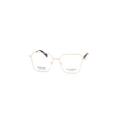 AH1580 04A Vista Ana Hickmann | Ottica Angelone
