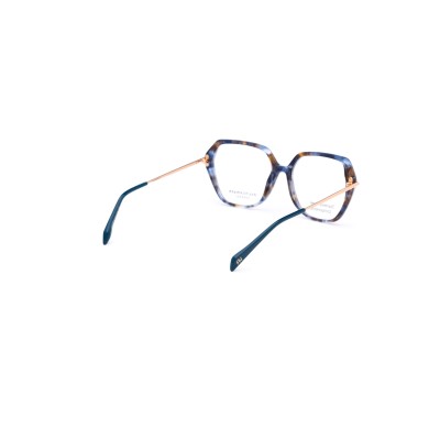 AH6611 G22 Vista Ana Hickmann | Ottica Angelone