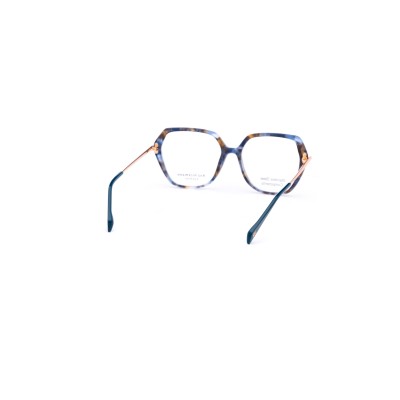 AH6611 G22 Vista Ana Hickmann | Ottica Angelone