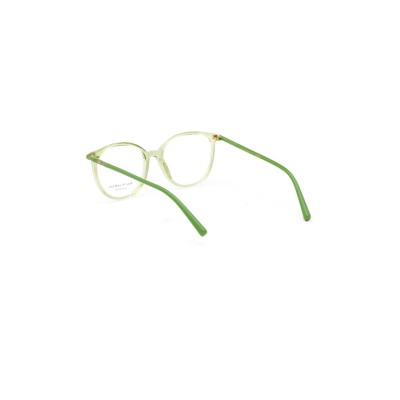 AH6617 T01 Vista Ana Hickmann | Ottica Angelone