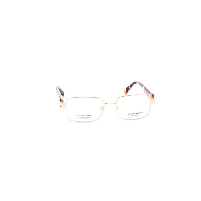 AH1584 04B Vista Ana Hickmann | Ottica Angelone